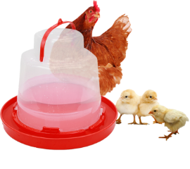 Productos avícolas plásticos en Iepesa Quito